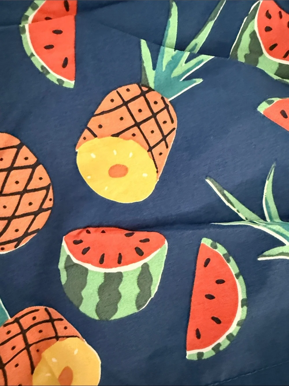 Maamopic Men’s Navy Pineapple & Watermelon Swim Trunks